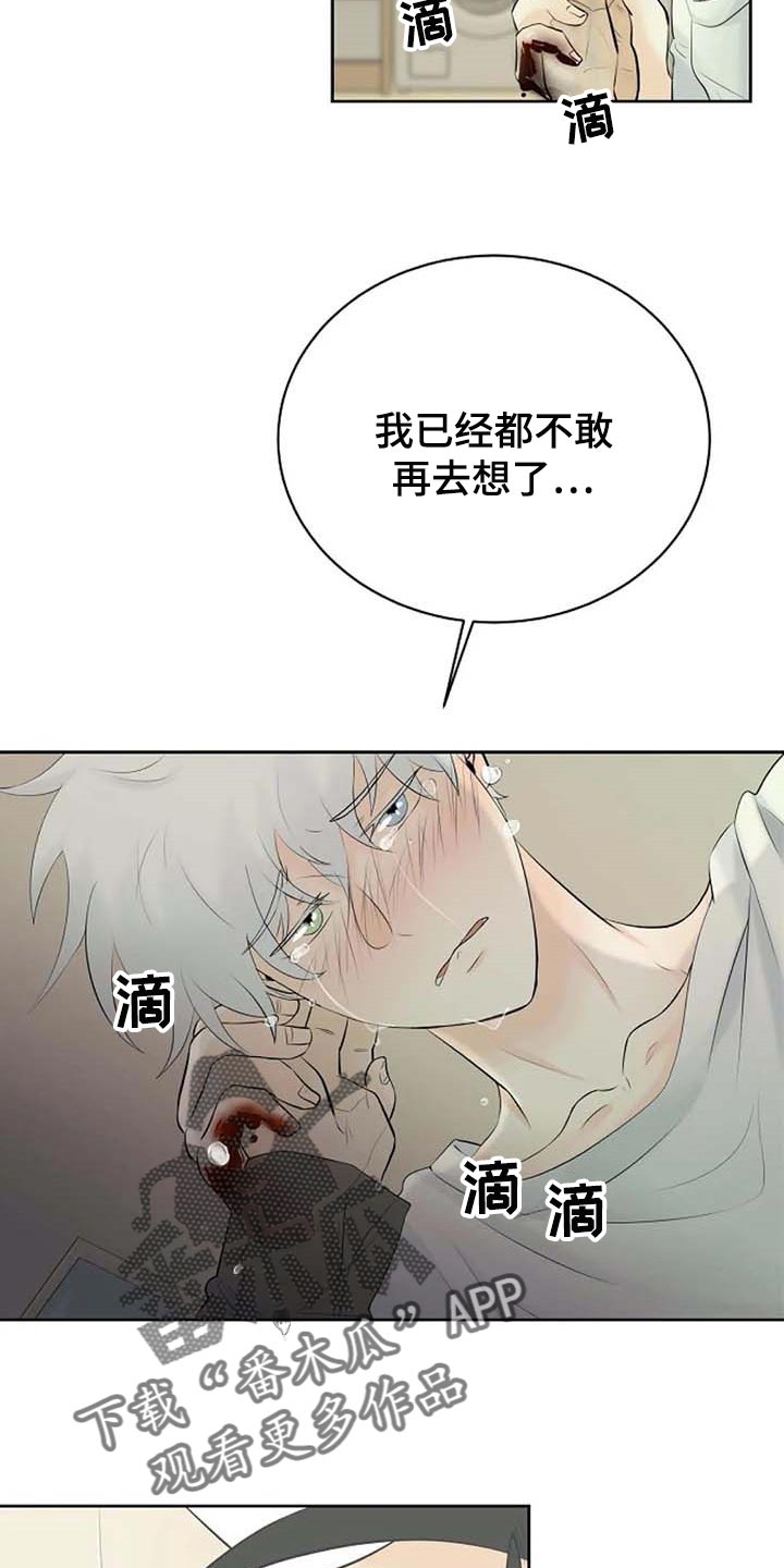 第46话12