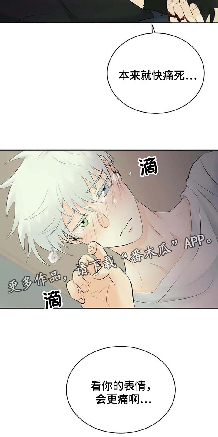 第43话20