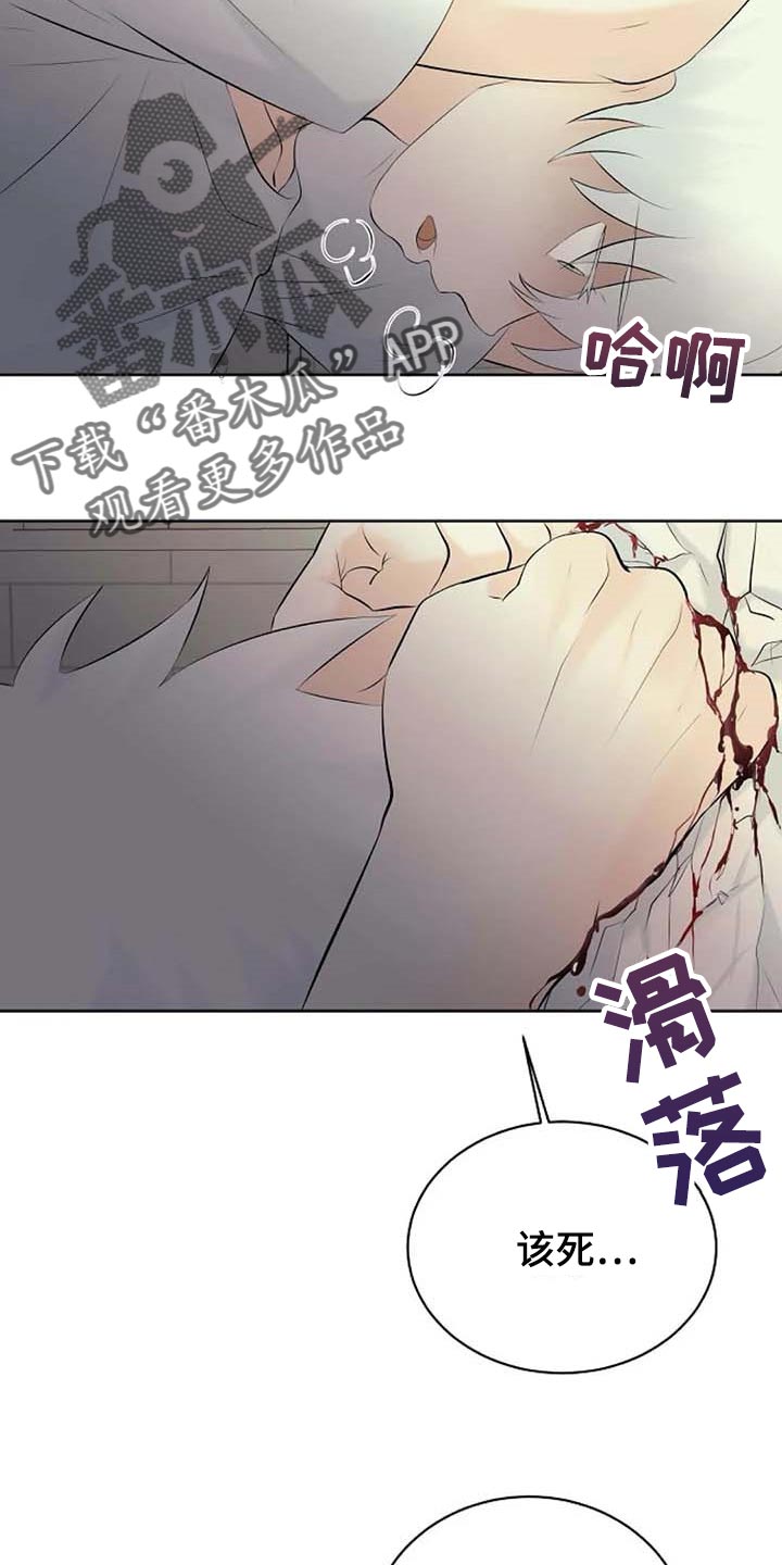 第43话5
