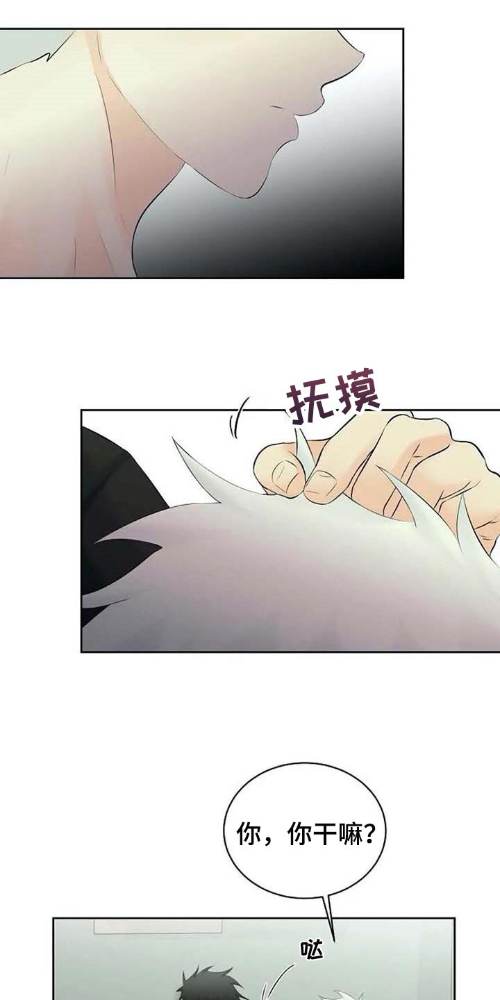 第40话19