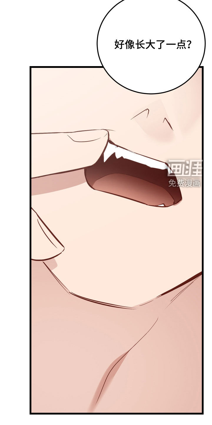 第29话24