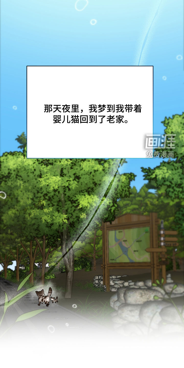 第28话44