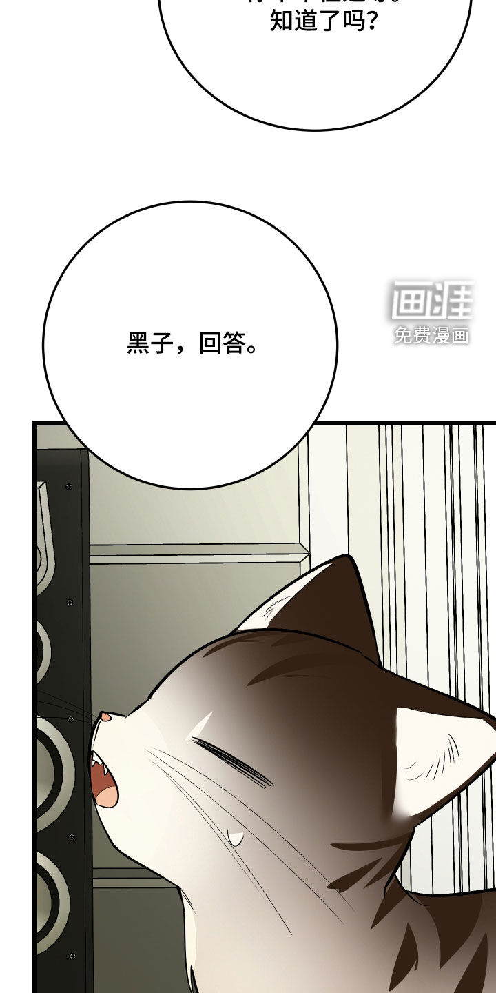 第27话3