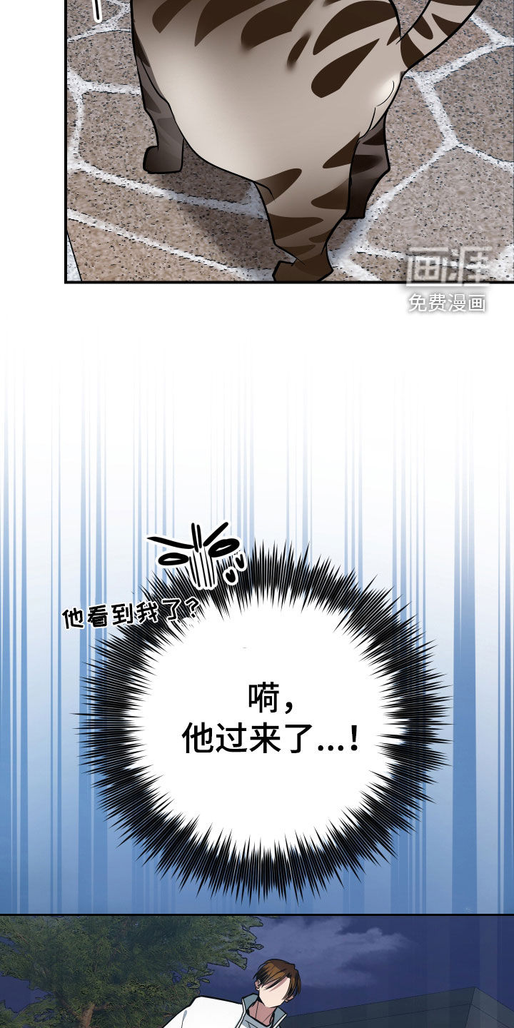 第33话13