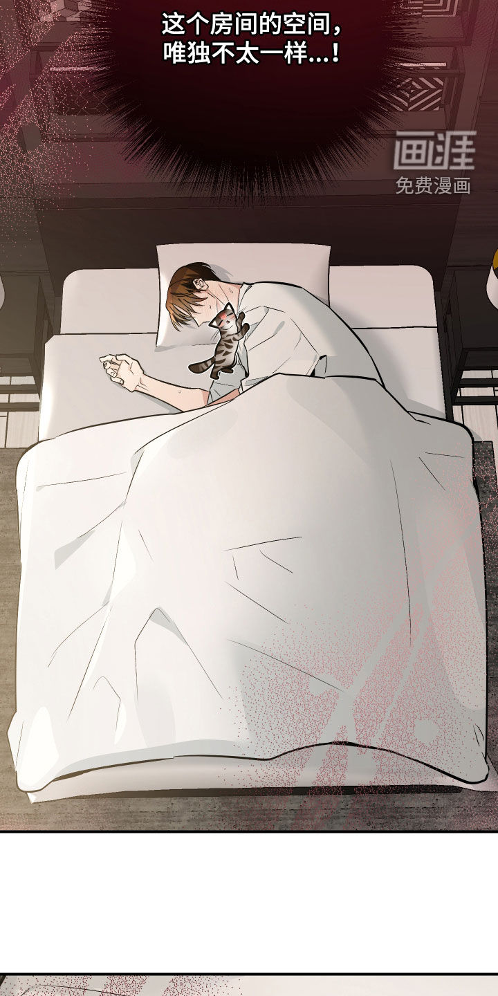 第41话11