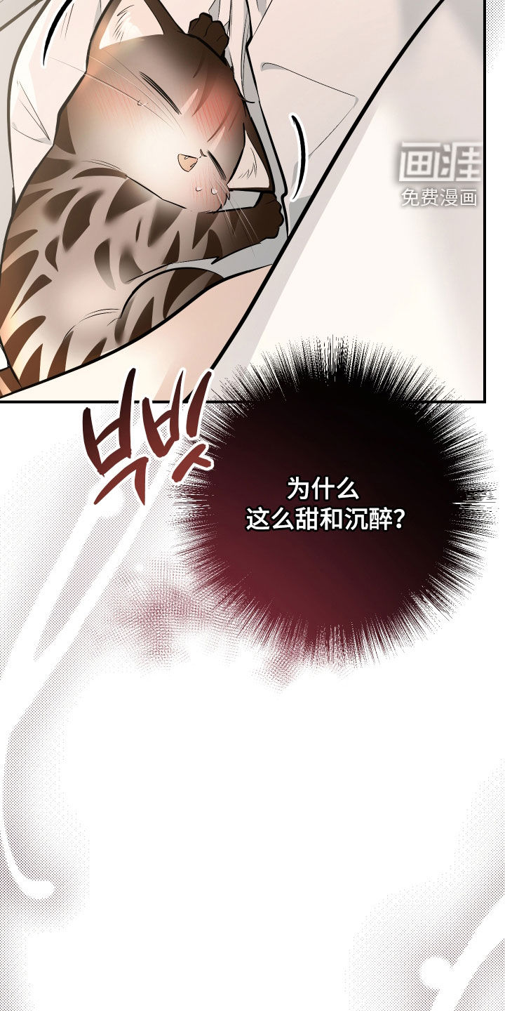 第41话14