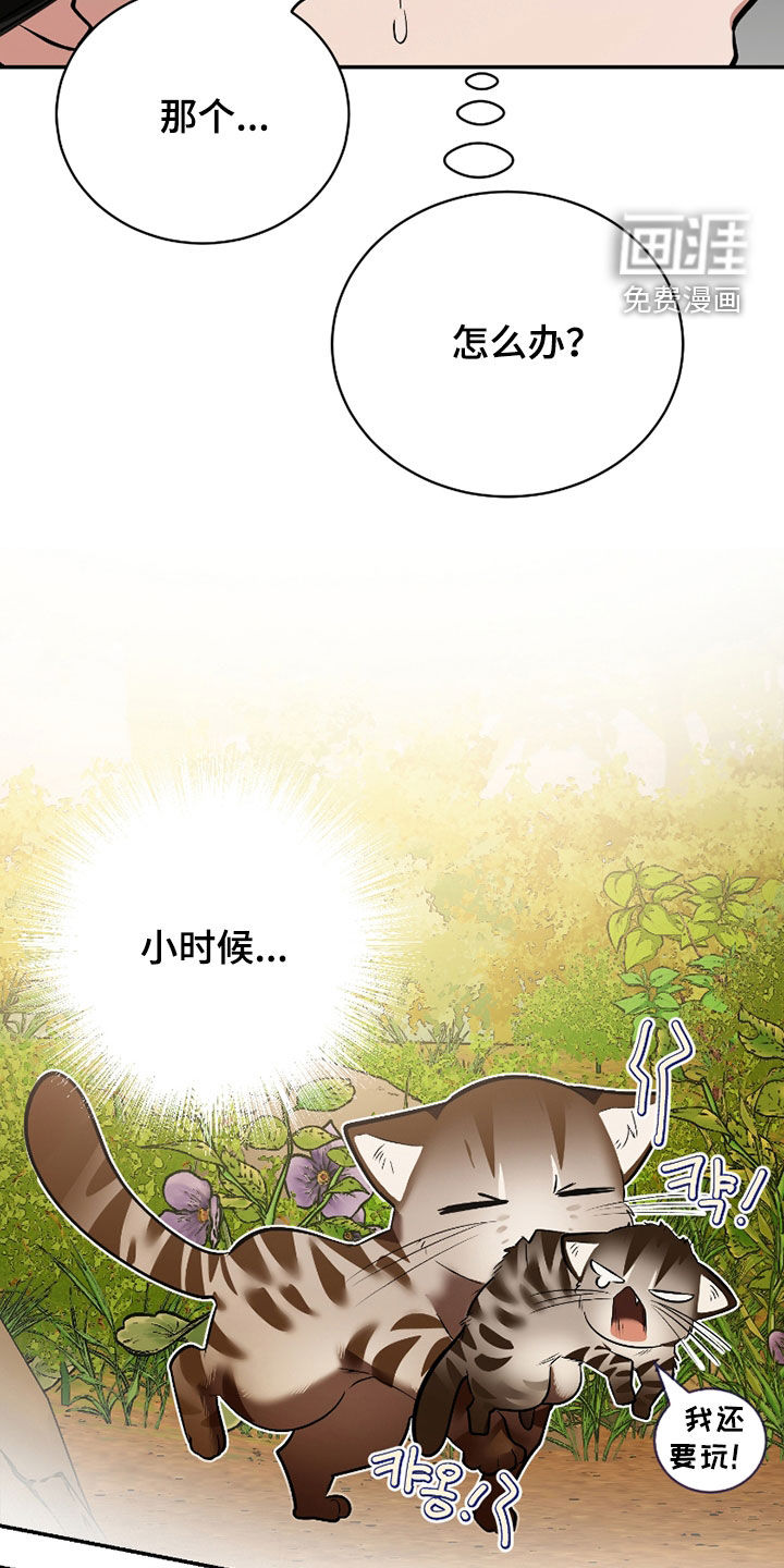 第51话23