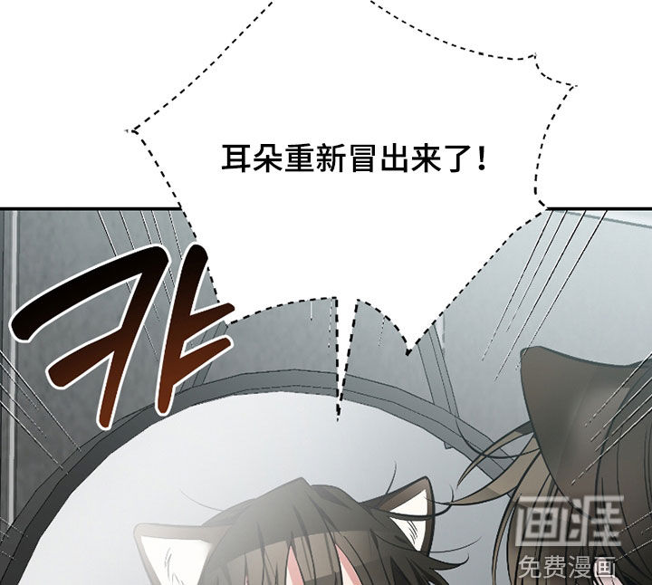 第50话13