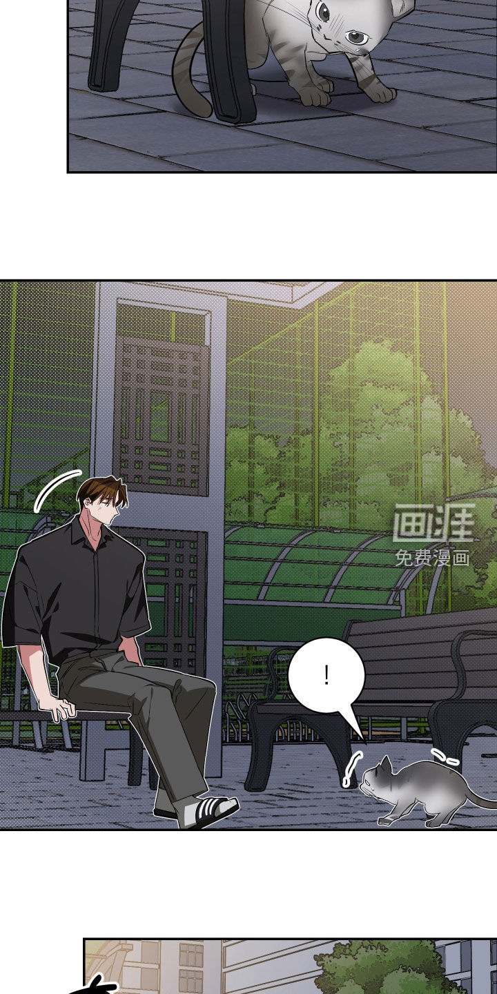 第54话18