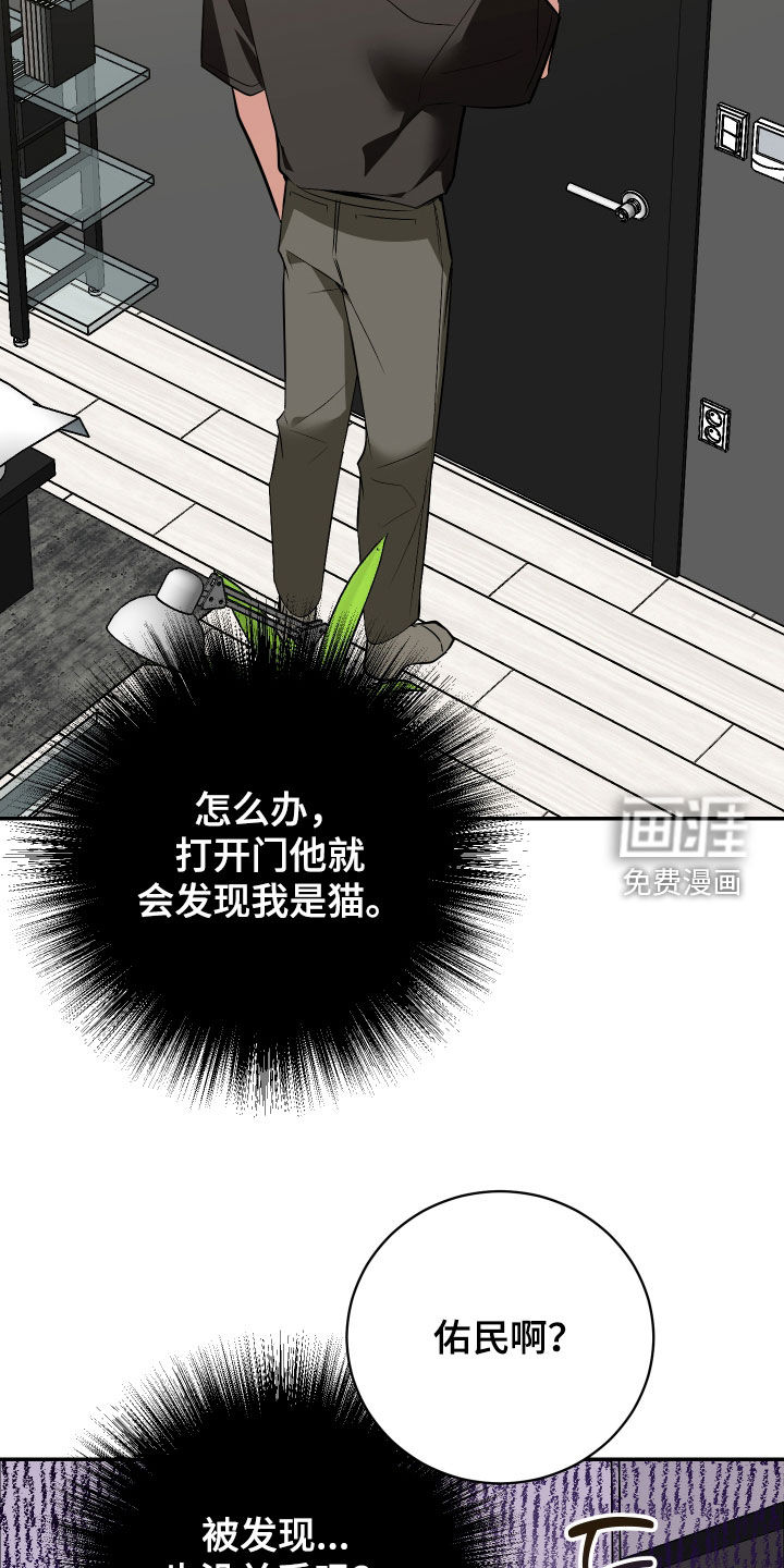 第54话28