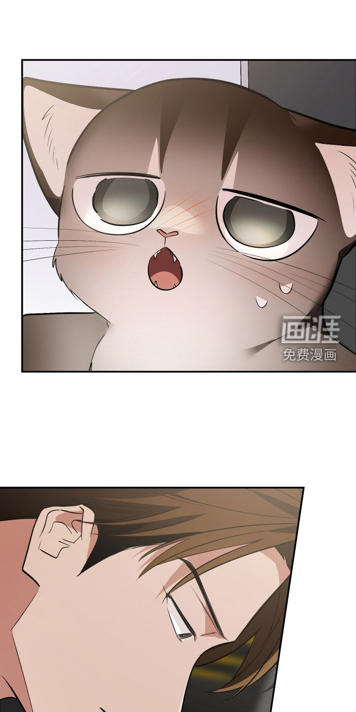 第54话30