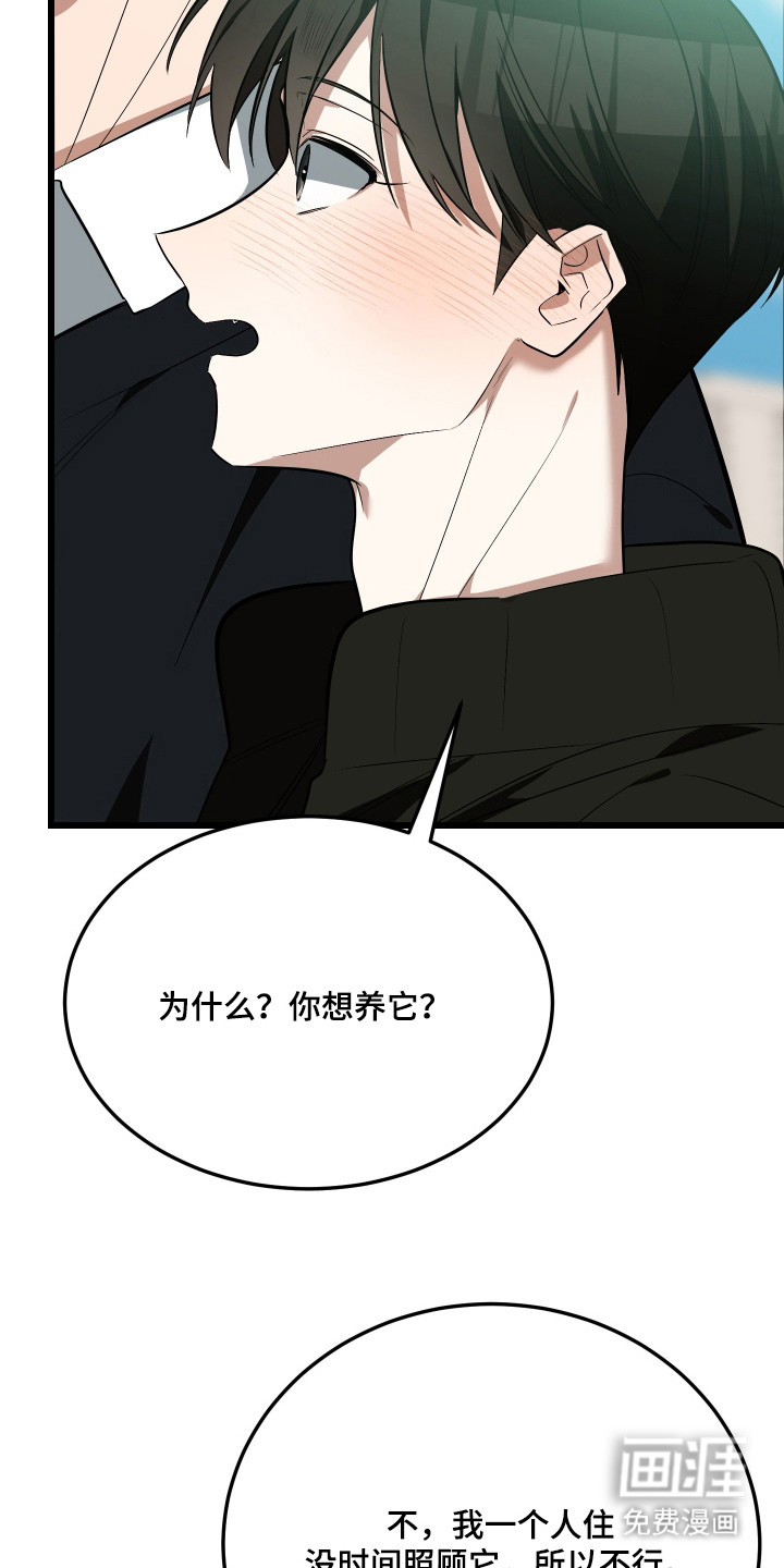 第19话12