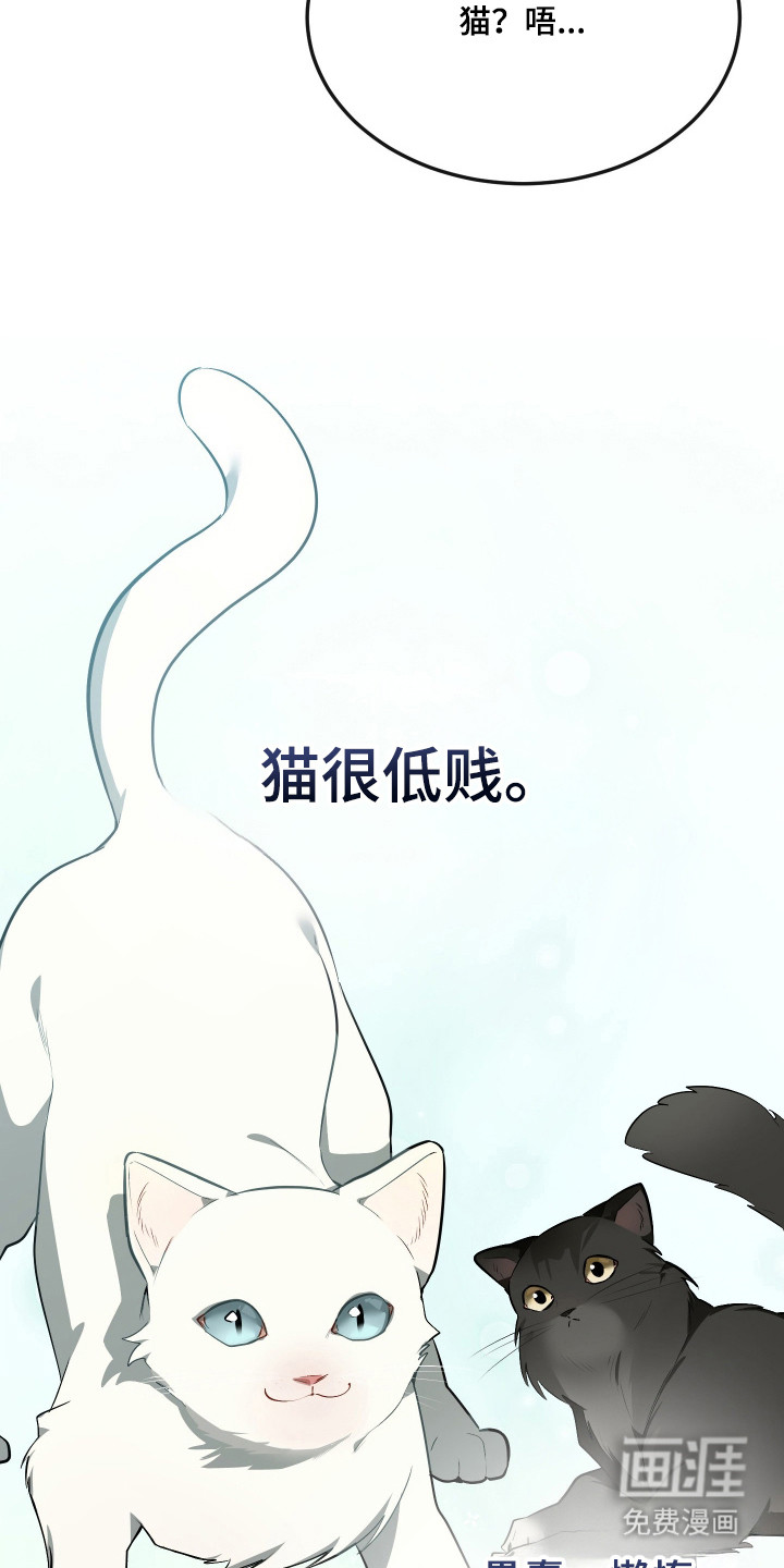第19话5
