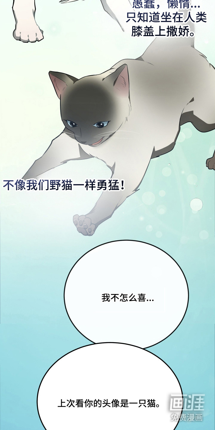 第19话6