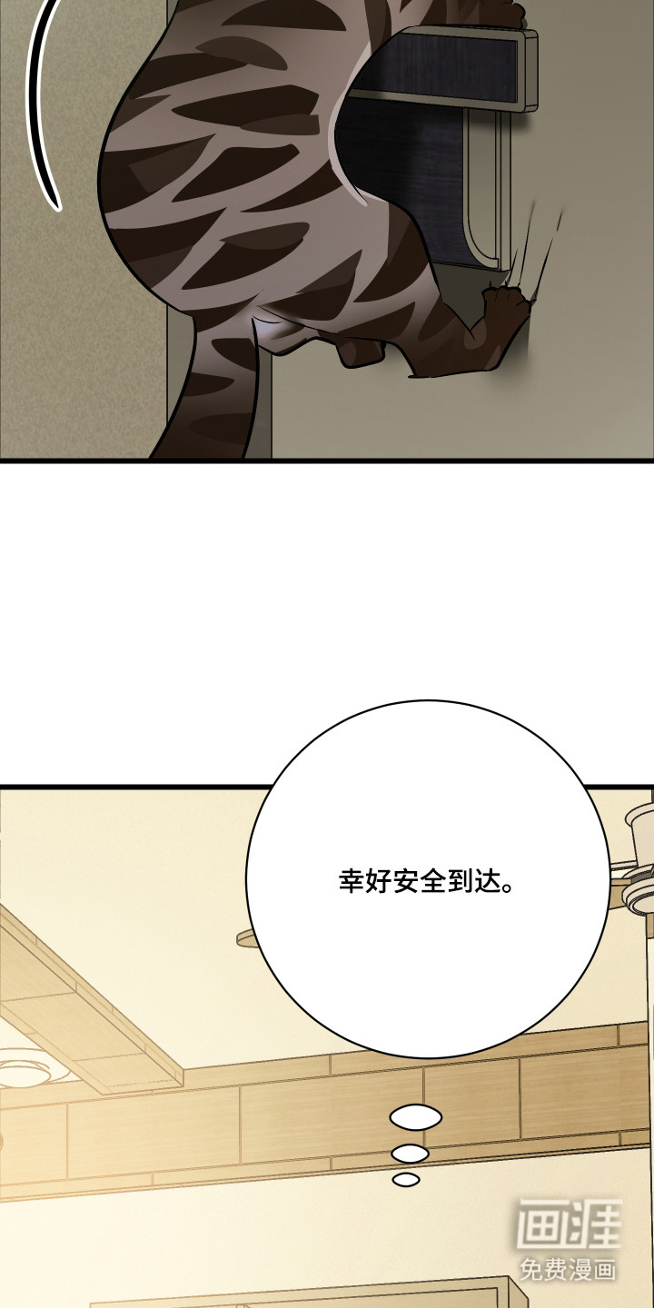 第10话6