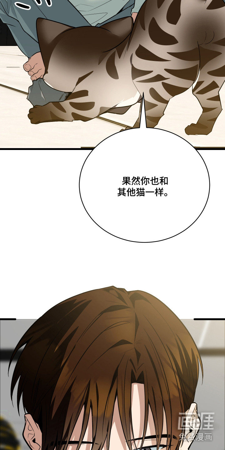 第9话14