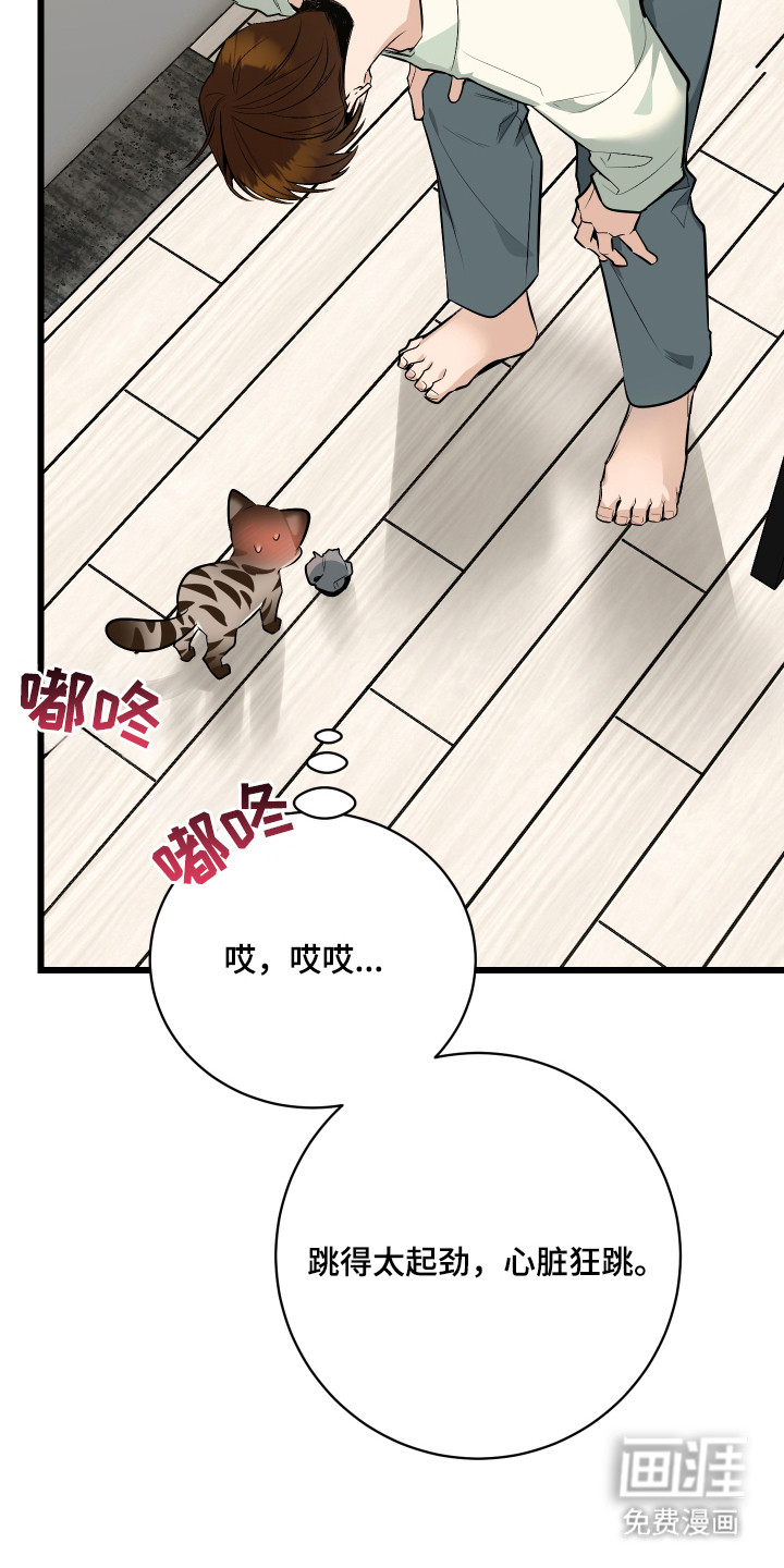 第9话17