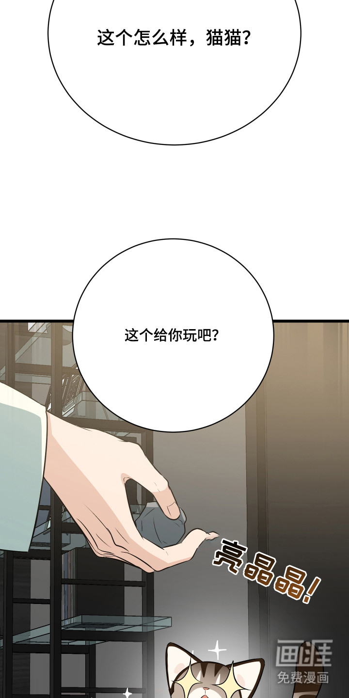 第9话4