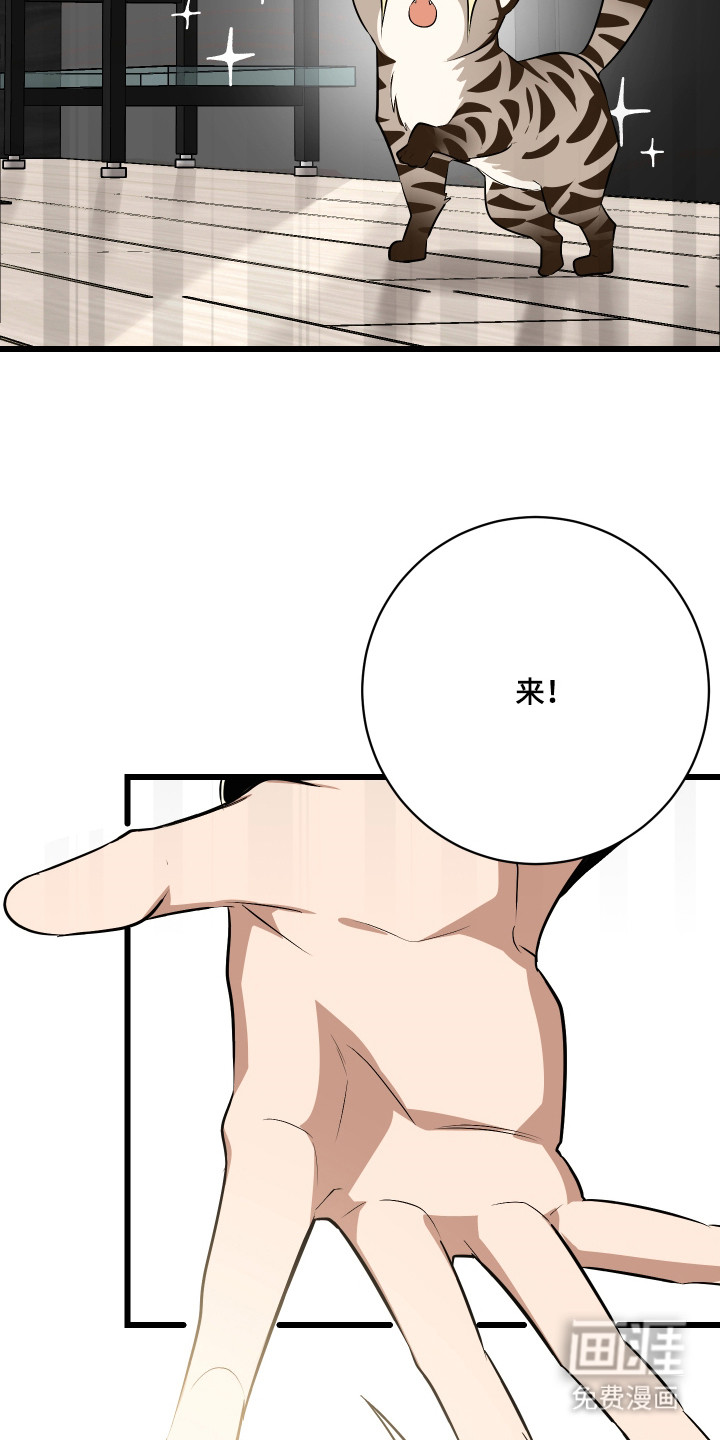 第9话5