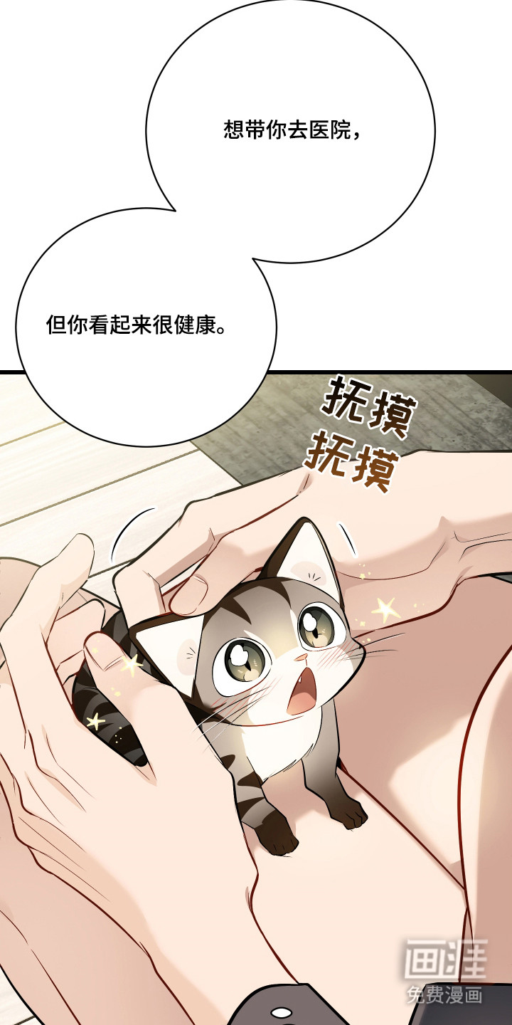第8话13