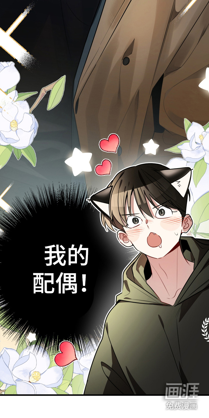 第5话12