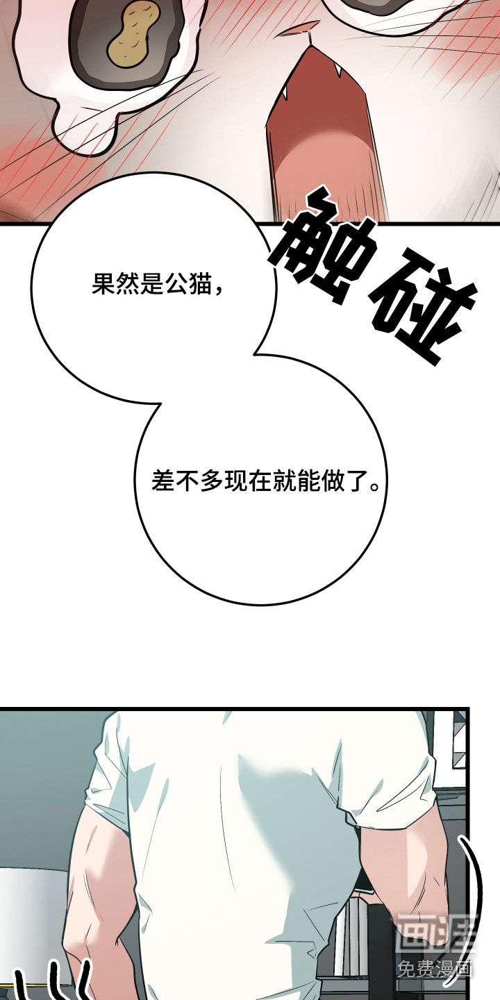 第26话14