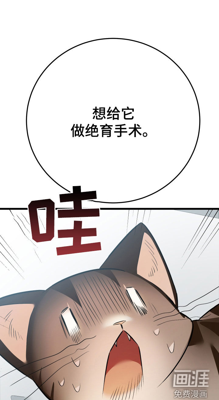 第26话17