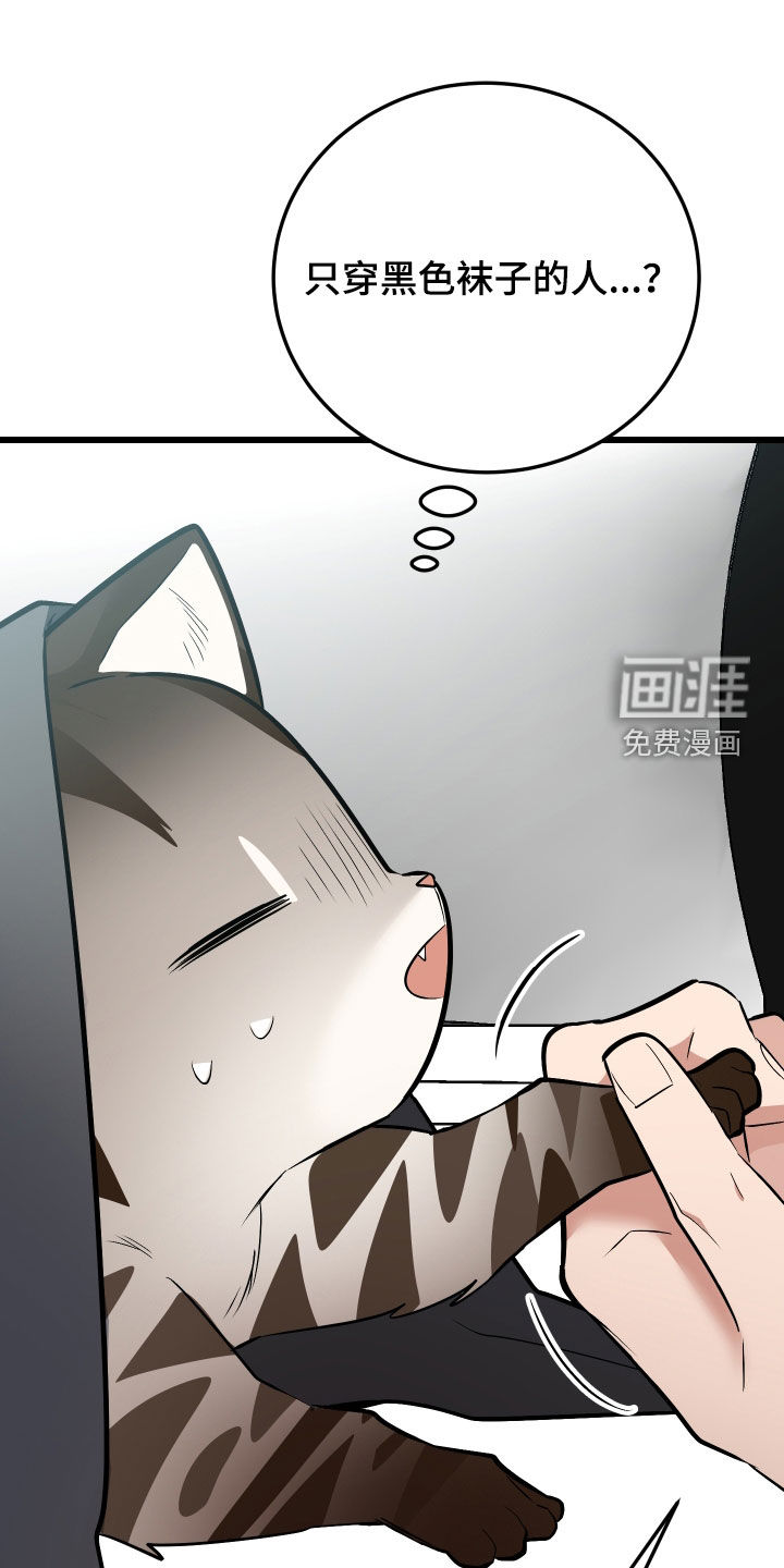 第26话26