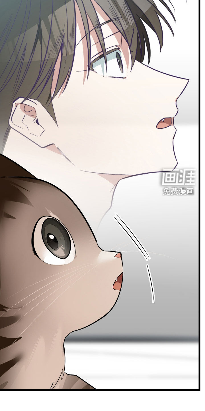 第26话29