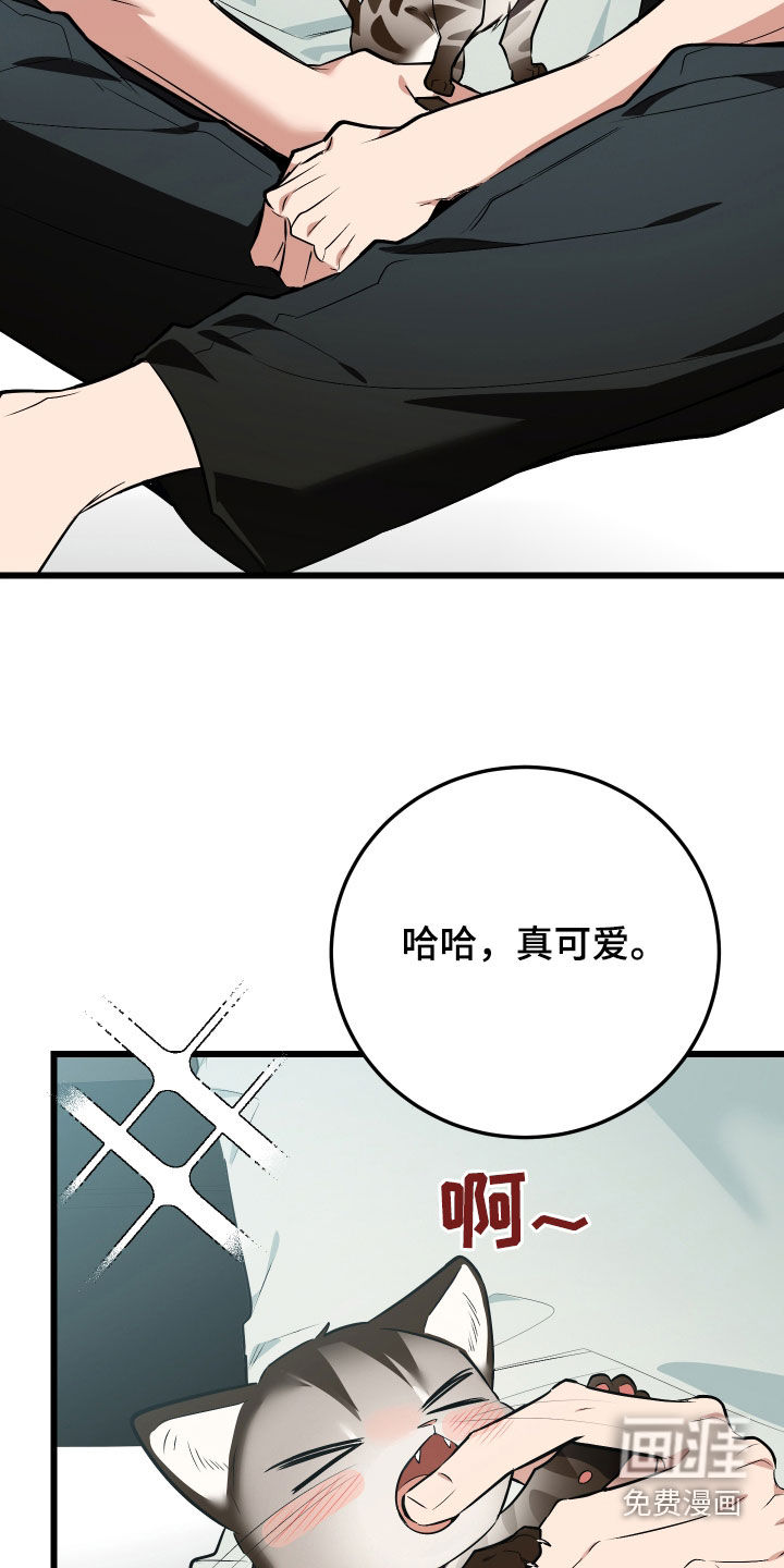 第26话7