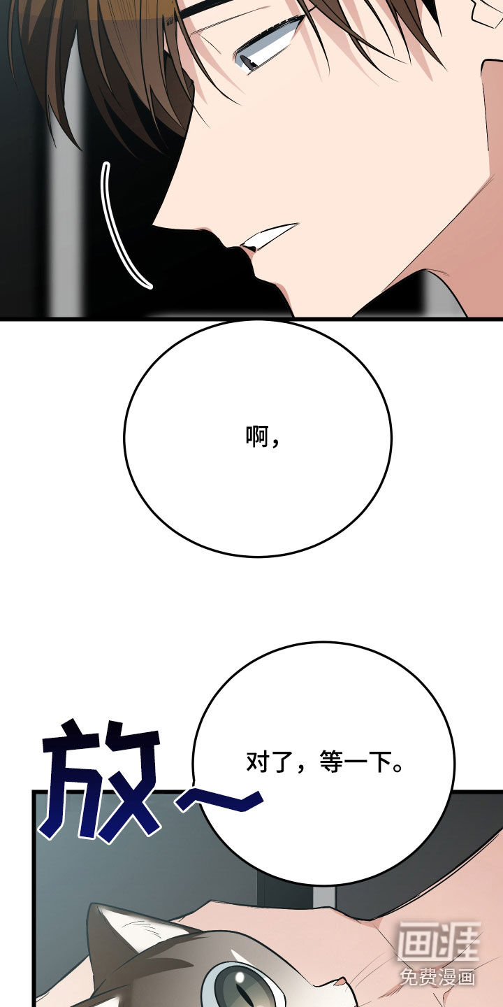 第26话9