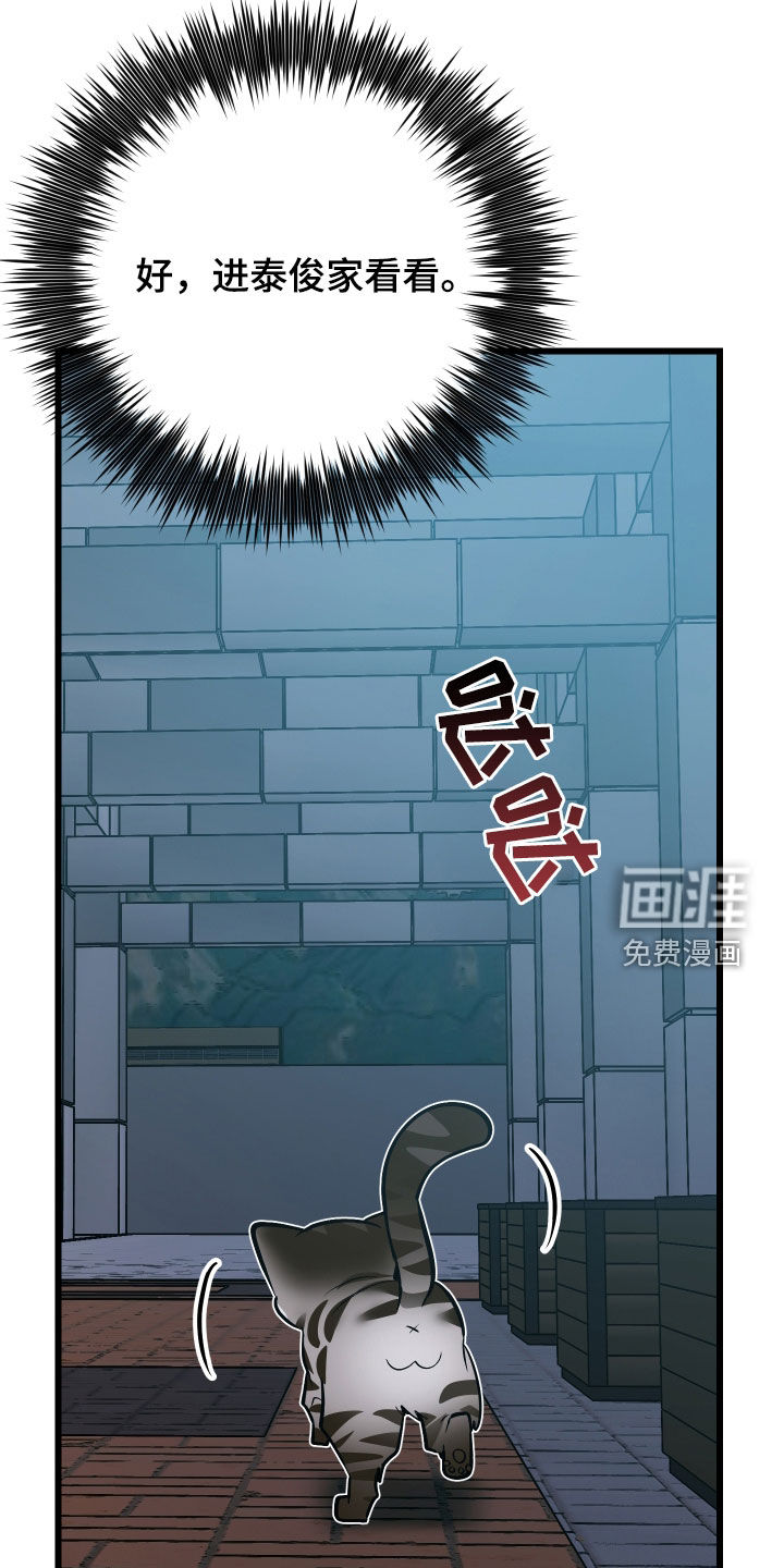 第25话22