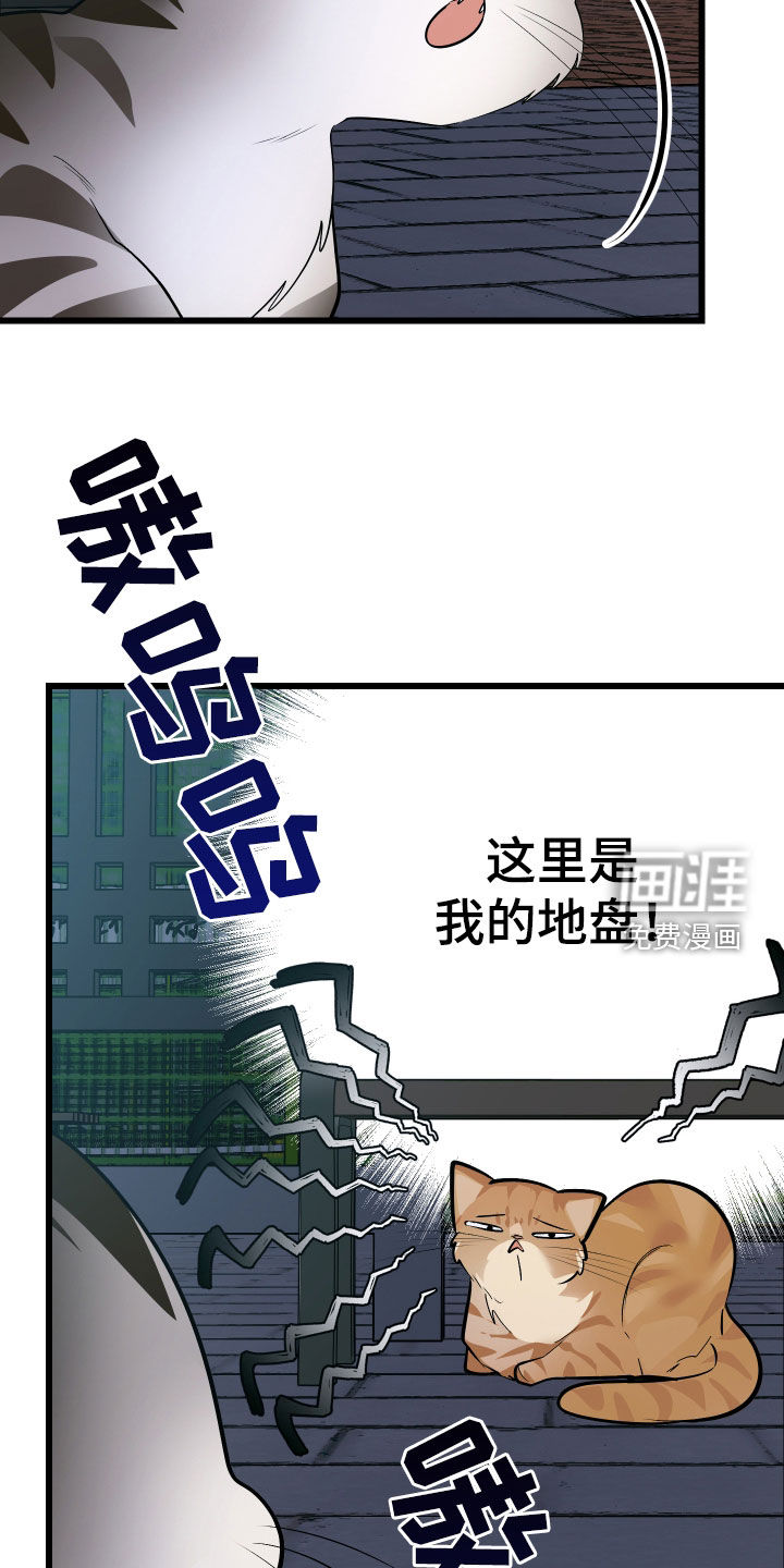 第25话24