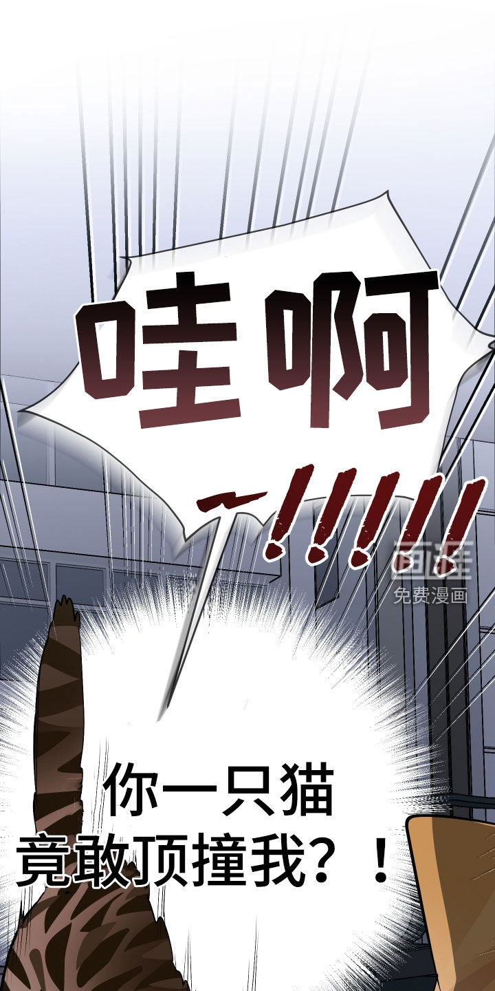 第25话26