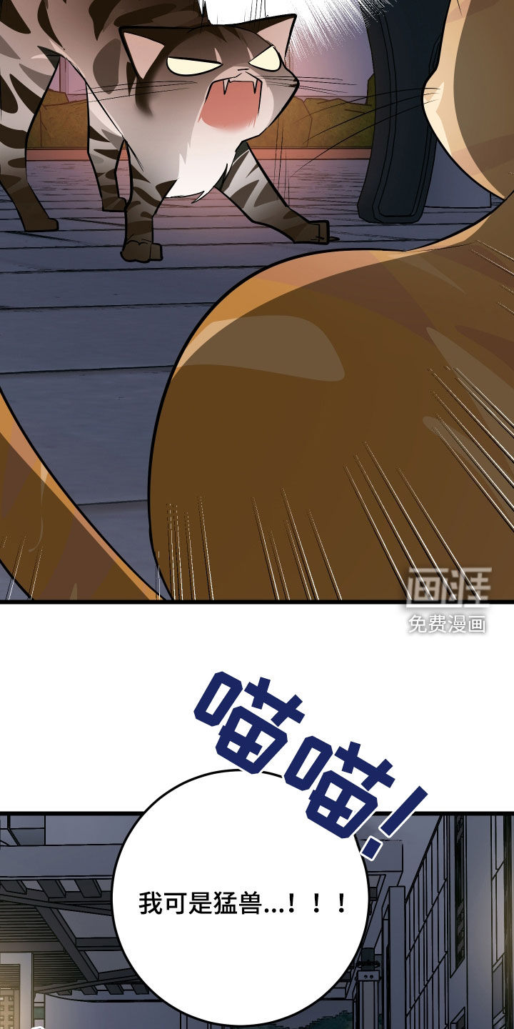 第25话27