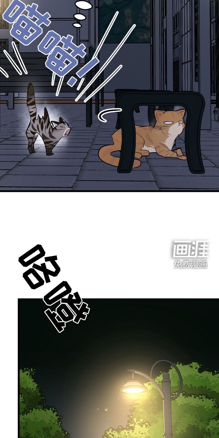 第25话28