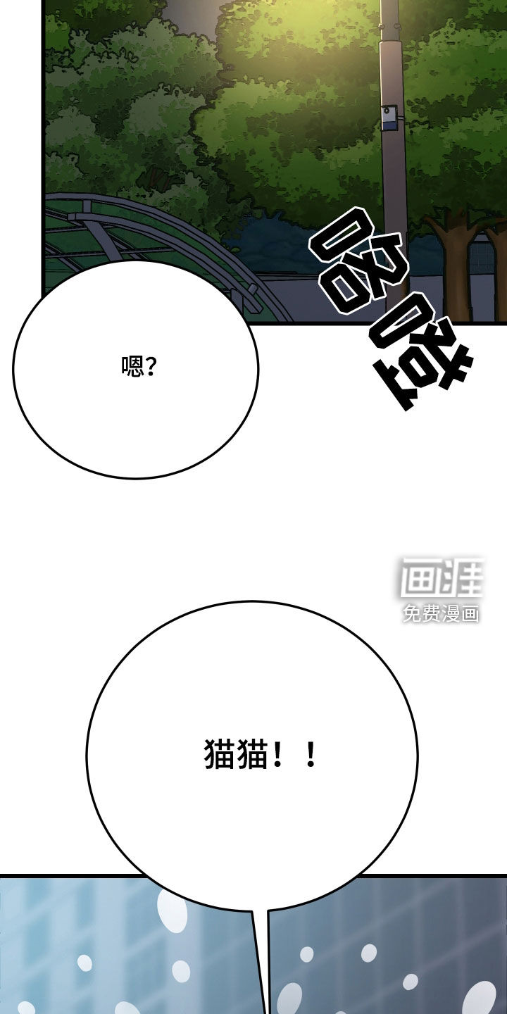 第25话29