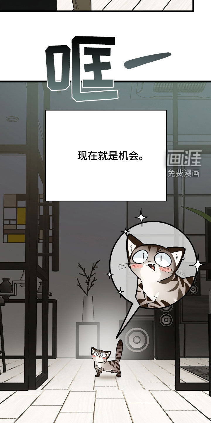第25话39