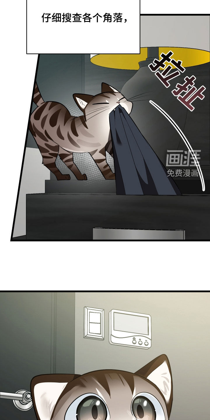 第25话41