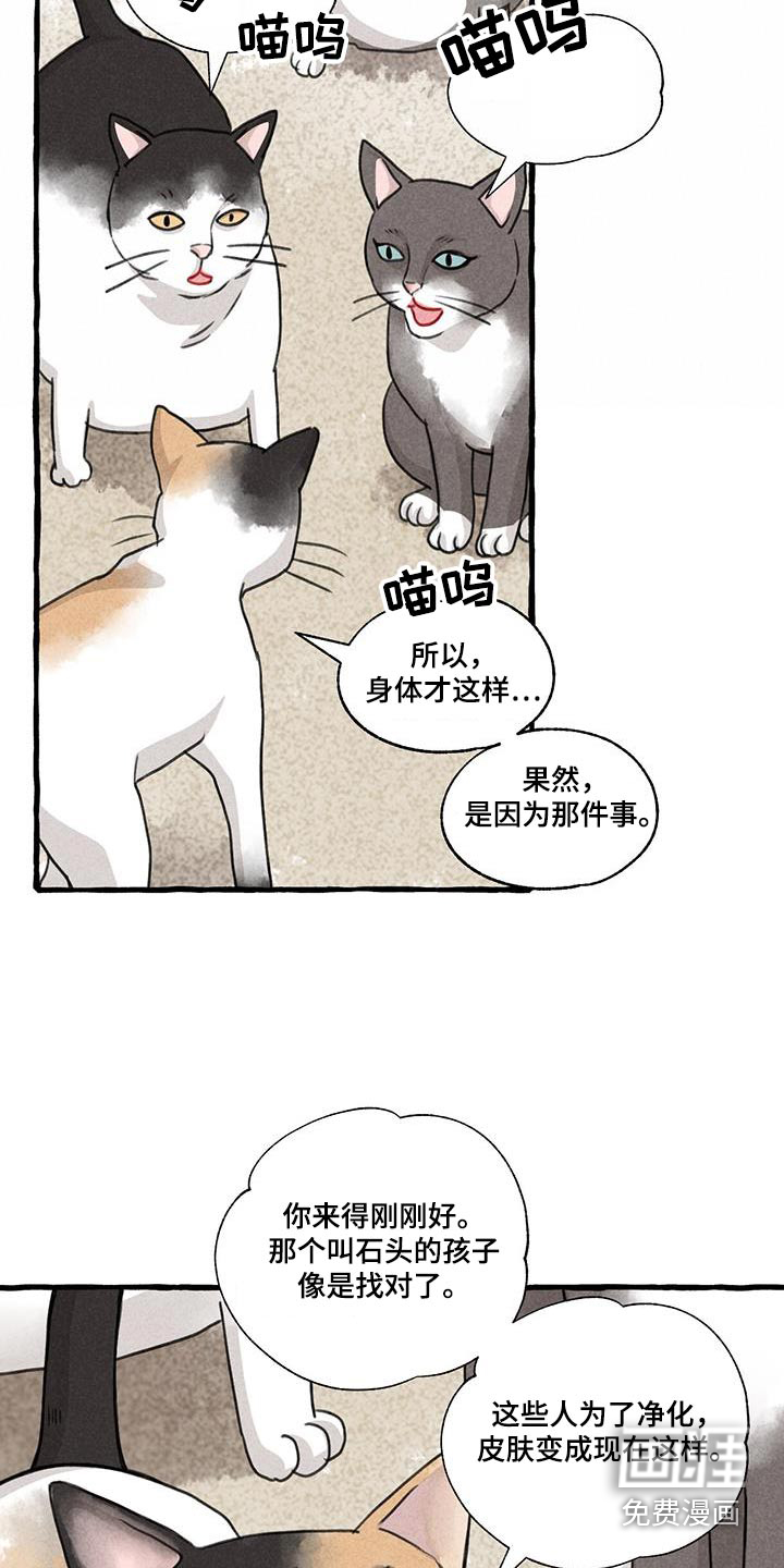 第167话7