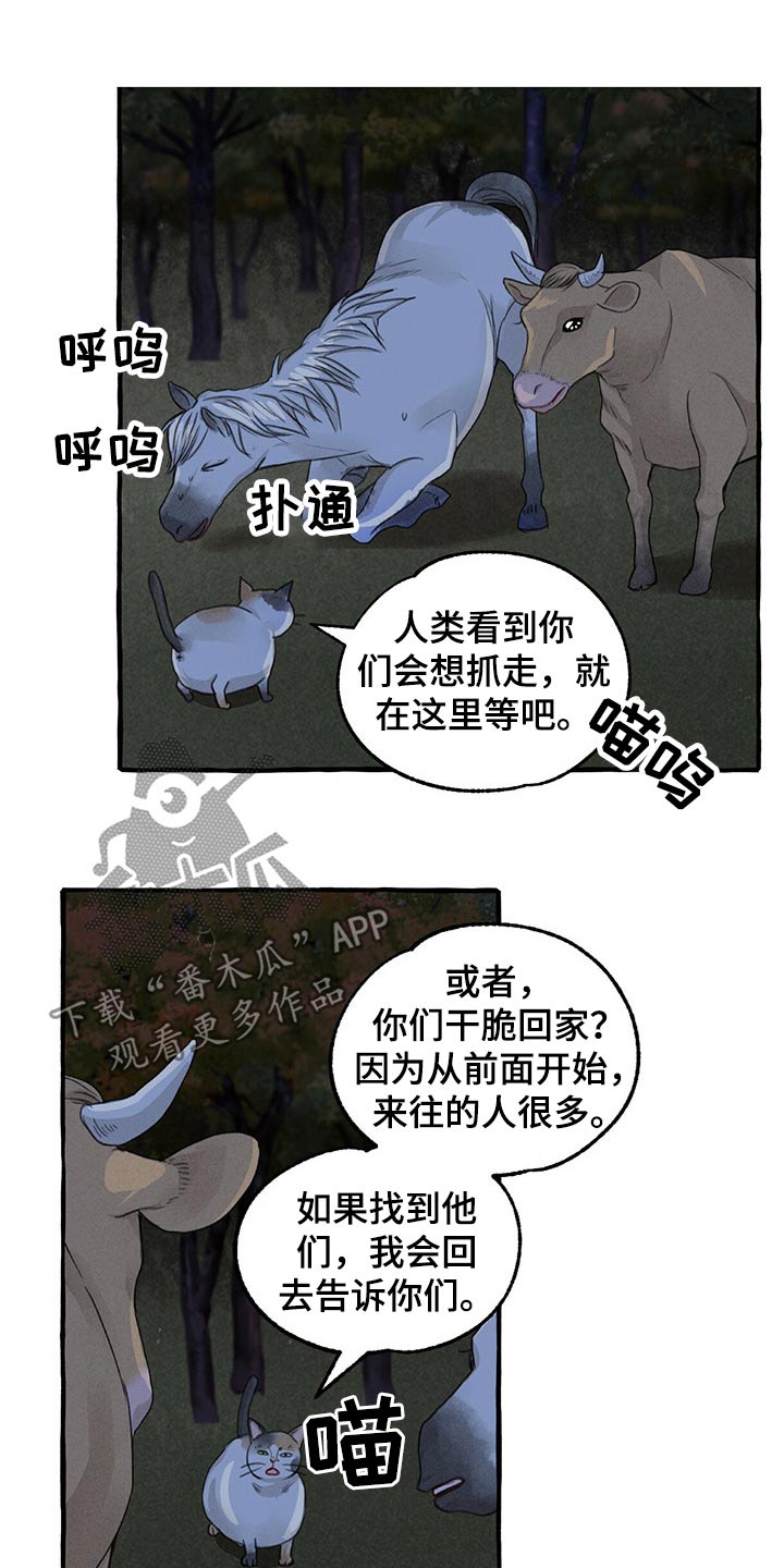 第131话16