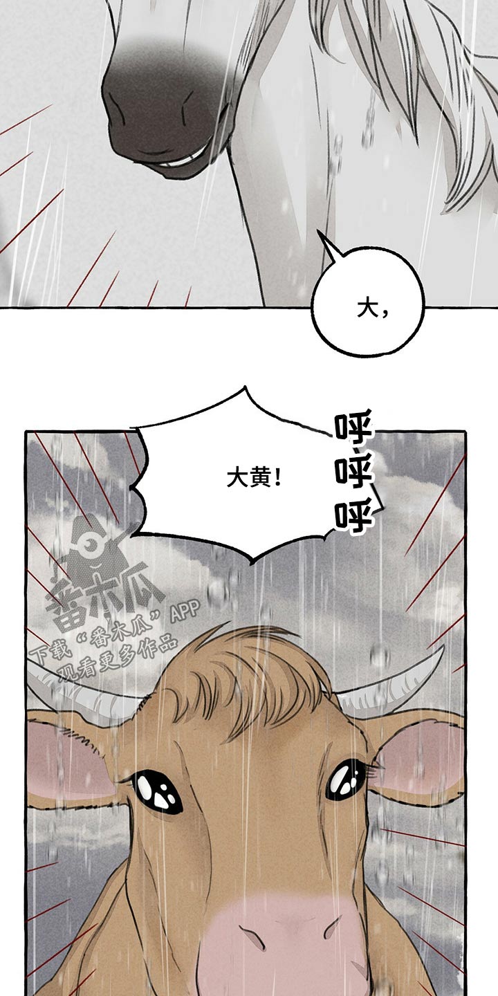 第119话6