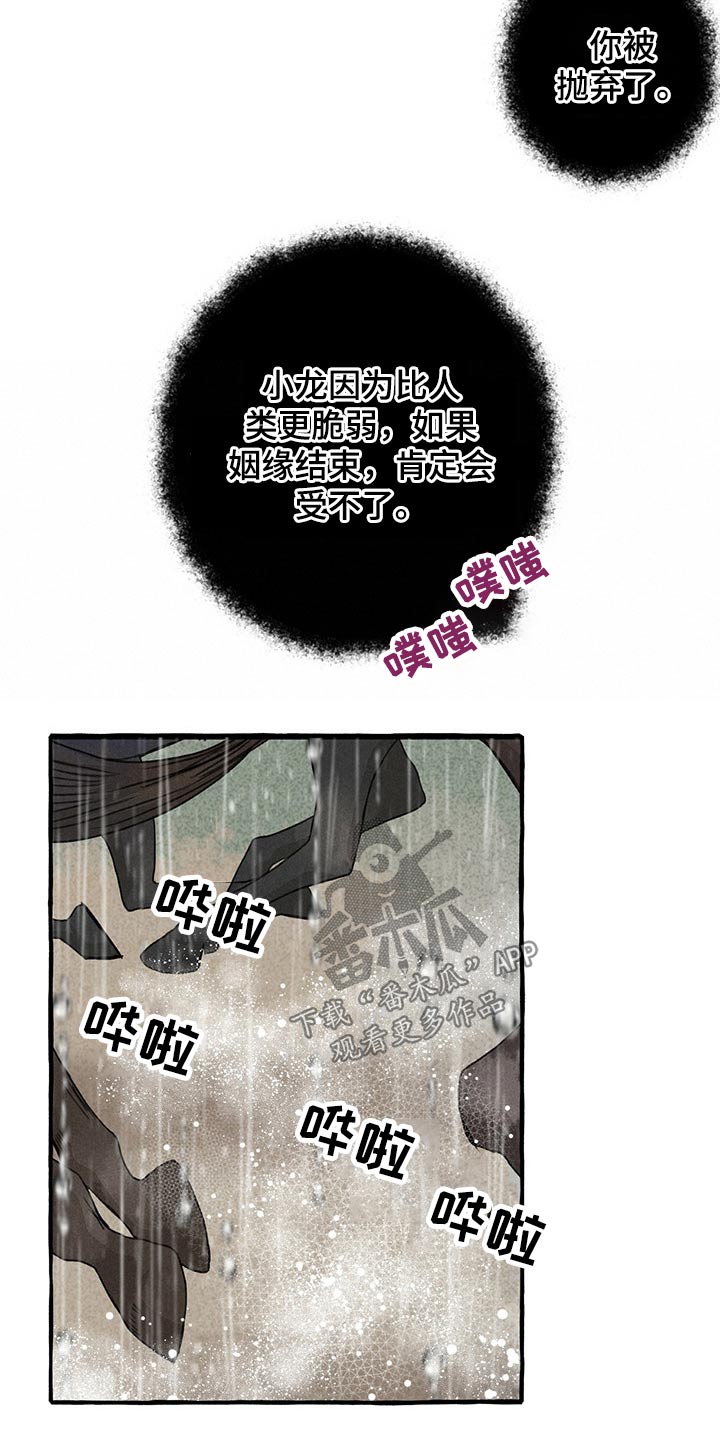 第117话11
