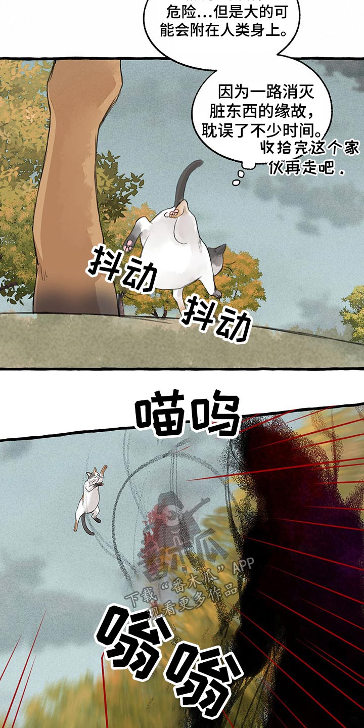 第115话13