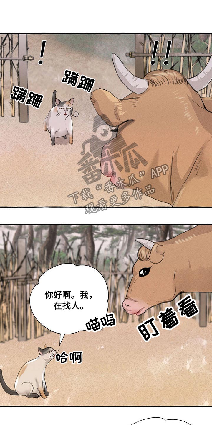 第113话18