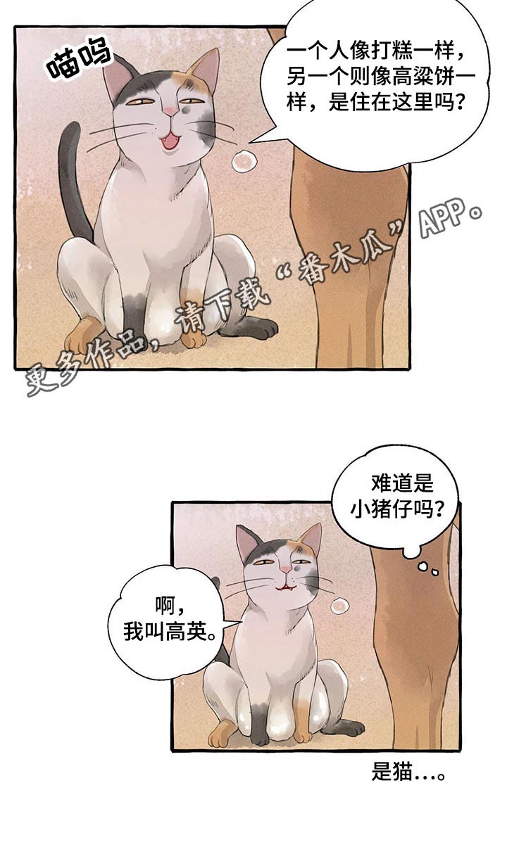 第113话19