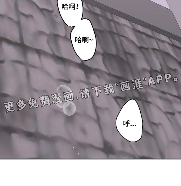 第51话25