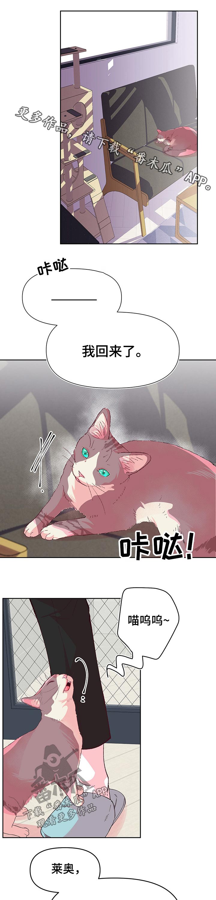 第81话0