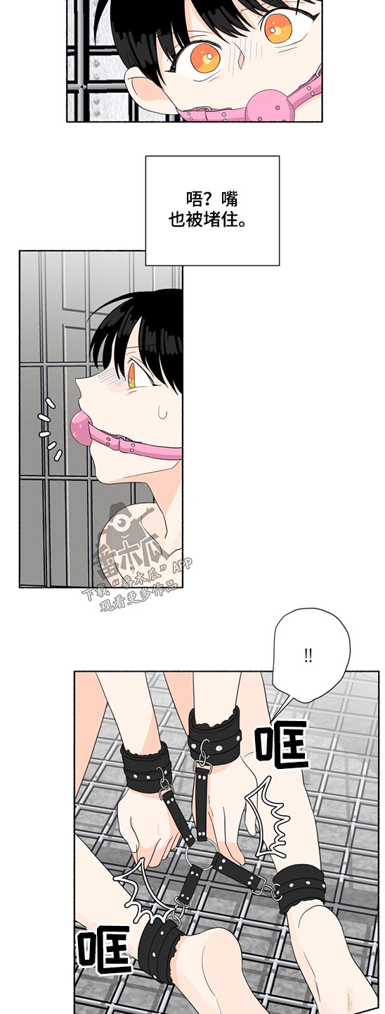 第47话8
