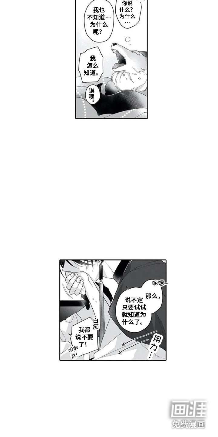 第11话9